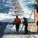Boletín Pesca Sostenible Nº11