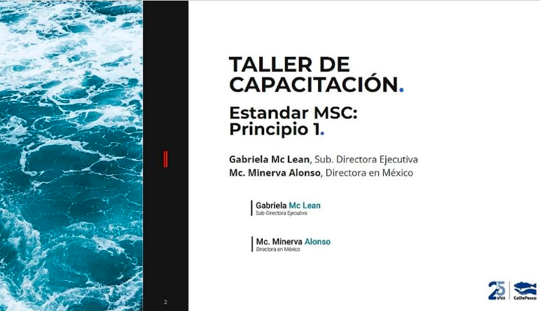 Taller Zoom MSC