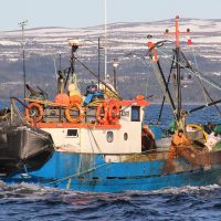 CHILE – CENTOLLA: CeDePesca informó a SUBPESCA las mejoras necesarias para avanzar hacia la certificación
