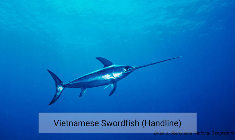 Vietnam swordfish