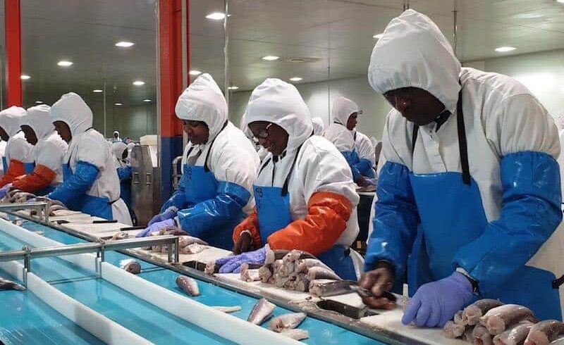 CERTIFICACIONES: La pesquería de merluza de Namibia obtiene el MSC CERTIFICACIONES: La pesquería de merluza de Namibia obtiene el MSC