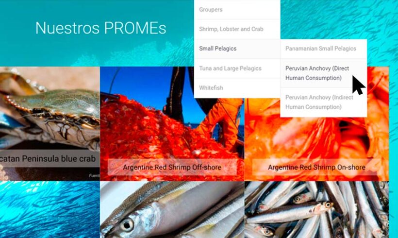 LATINOAMÉRICA. Los PROMEs (FIPs) logran cambios en la legislación pesquera LATINOAMÉRICA. Los PROMEs (FIPs) logran cambios en la legislación pesquera