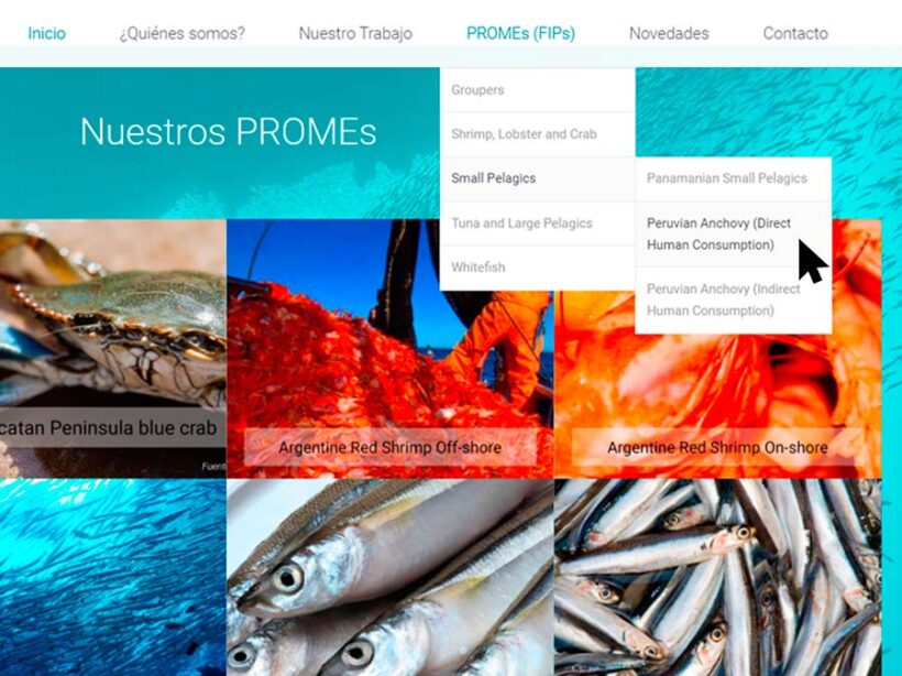 LATINOAMÉRICA. Los PROMEs (FIPs) logran cambios en la legislación pesquera