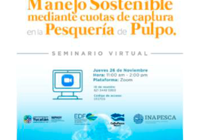 CEDEPESCA-MÉXICO: Webinar sobre sistema de cuotas para la pesquería de pulpo
