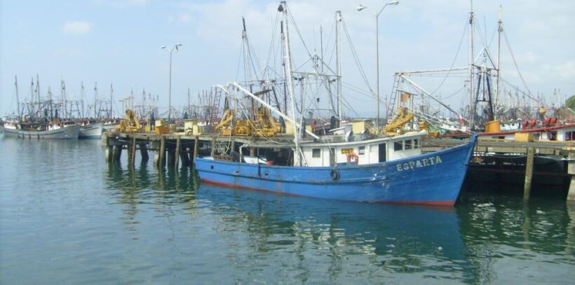 LEY DE PESCA EN PANAMÁ: Un proyecto que recoge las mejores prácticas internacionales de legislación pesquera