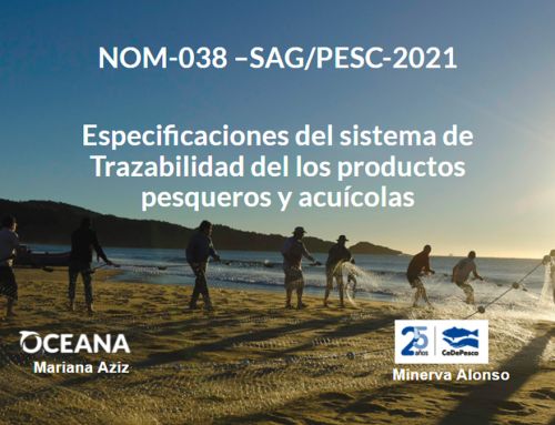 MÉXICO: CeDePesca participa de workshop sobre rastreabilidade na pesca (português)