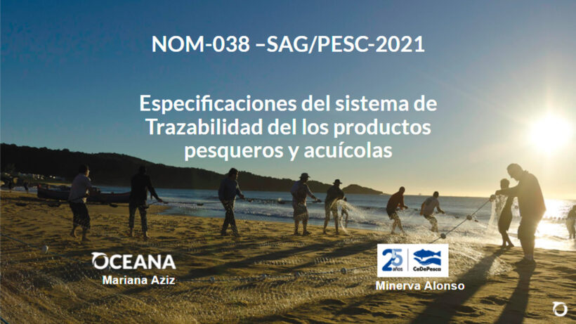 MÉXICO: CeDePesca participa en taller sobre trazabilidad en la pesca