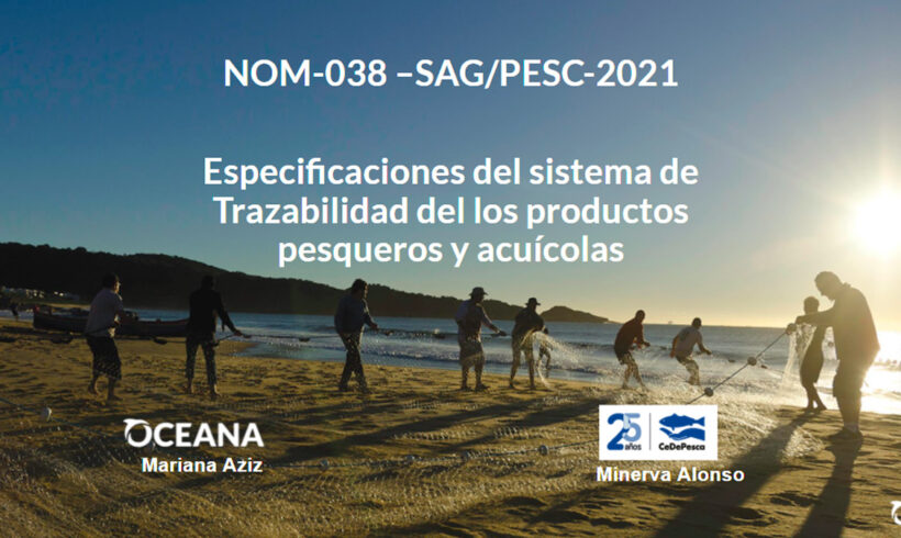 MÉXICO: CeDePesca participa de workshop sobre rastreabilidade na pesca (português)