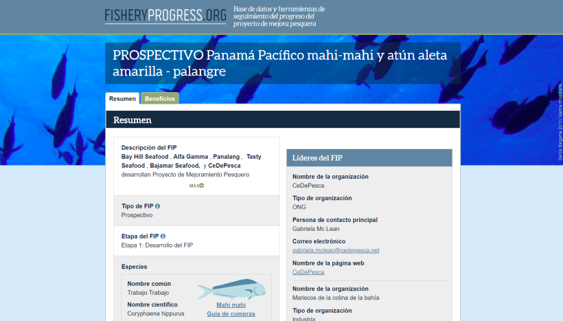 Cinco compañías anuncian el relanzamiento del Proyecto de Mejoras de la pesquería de dorado y atún de Panamá