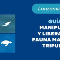 Lanzamiento Virtual: Guías de Manipulación y Liberación de Megafauna Marina para Tripulantes