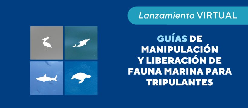 Lanzamiento Virtual: Guías de Manipulación y Liberación de Megafauna Marina para Tripulantes