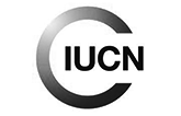 Unión Internacional para la Conservación de la Naturaleza (IUCN)