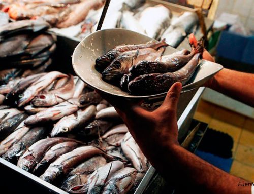 La pesquería de arrastre industrial de merluza chilena obtiene la certificación MSC