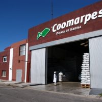 PEZ PALO: Compromiso de empresas argentinas con el PROME