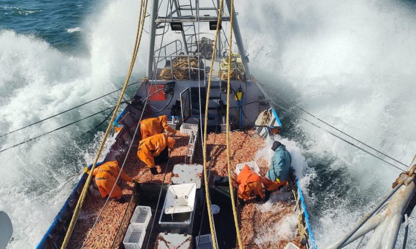 ARGENTINA: CeDePesca efectuó un análisis sobre la reforma de la Ley Federal de Pesca