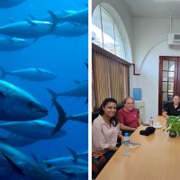 PANAMÁ: CeDePesca y ARAP coordinan la ejecución del plan de acción del PROME de dorado y atún