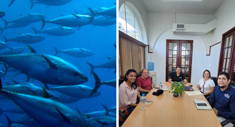 PANAMÁ: CeDePesca y ARAP coordinan la ejecución del plan de acción del PROME de dorado y atún