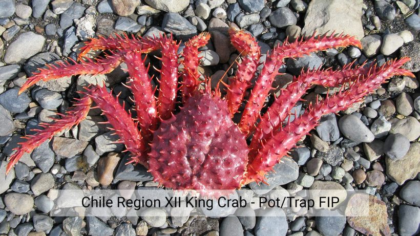 Chile Region XII King Crab – Pot/Trap FIP