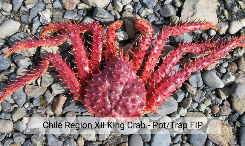 Chile Region XII King Crab – Pot/Trap FIP