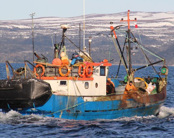 CHILE – CENTOLLA: CeDePesca informó a SUBPESCA las mejoras necesarias para avanzar hacia la certificación