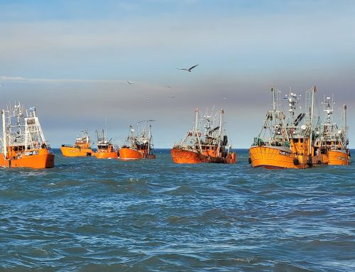 ARGENTINA – LANGOSTINO: CeDePesca inició un Proyecto de Mejoras con la flota artesanal de Rawson, Chubut