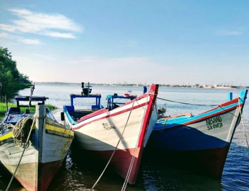 SURINAM – PESQUERÍAS: WWF y CeDePesca se unen para impulsar un importante proyecto