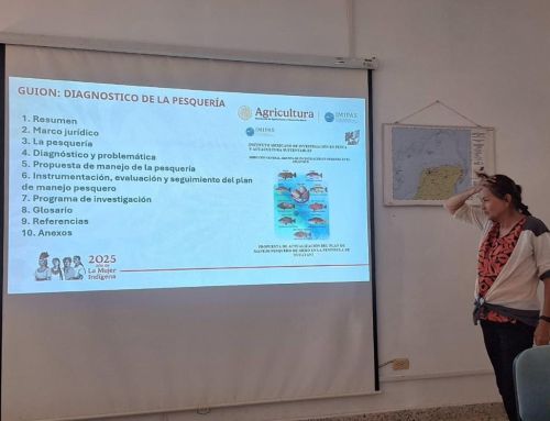 MÉXICO – MERO: Se presentó la actualización del Plan de Manejo ante el Comité Consultivo