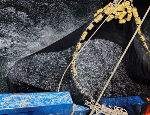 PERÚ – ANCHOVETA CHD: Reunión del PROME con el Viceministro de Pesca y su equipo