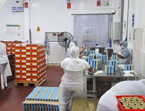 Se anuncia inicio de proceso público de certificación MSC de pesquería de anchoveta peruana para salazón tras una década de mejoras