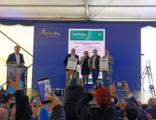 CHILE – MERLUZA COMÚN: La pesquería de arrastre industrial obtiene la Certificación MSC