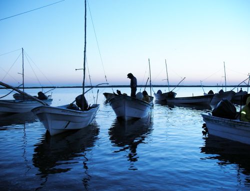 MÉXICO – PESCA  DE PEQUEÑA ESCALA: Convenio de colaboración entre el IMIPAS y CeDePesca