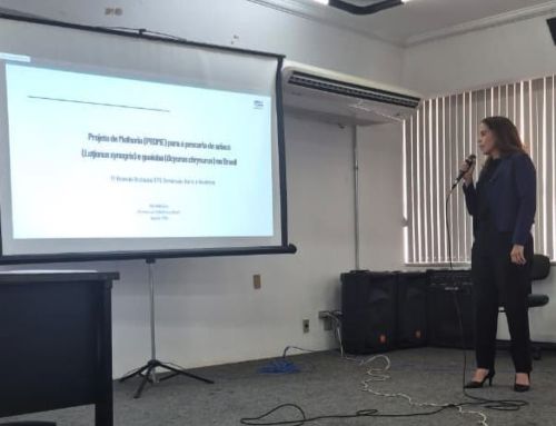BRASIL – PARGOS ARIACÓ Y GUAIUBA: CeDePesca presentó avances de Proyecto de Mejora ante el Comité de Gestión
